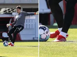 爱游戏中国-冲出训鸡营完整版